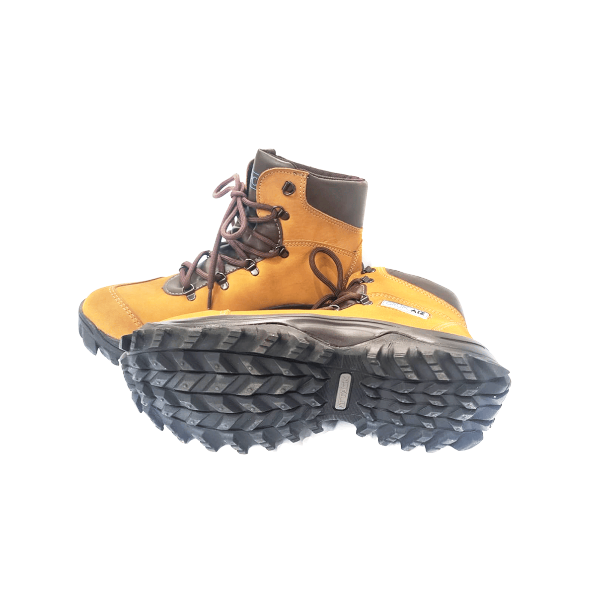 BOTA Nº 43